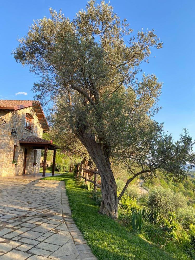 Bujtina Salko Villa Mucaj Exterior photo